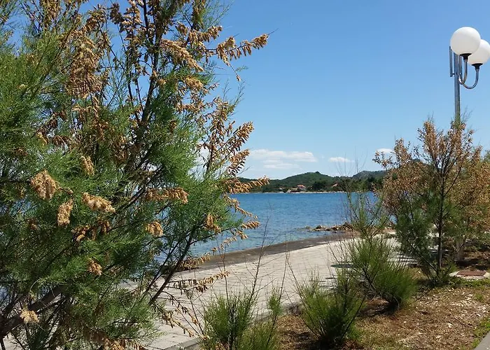 Apartamento Sajkovic *