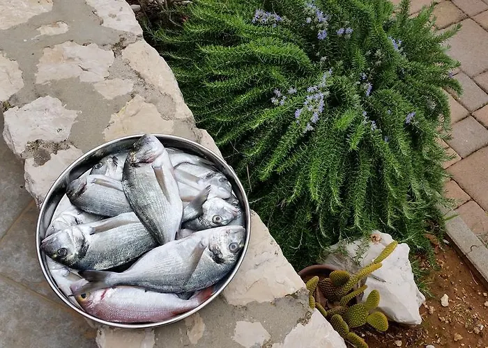 Sajkovic Апартаменты *