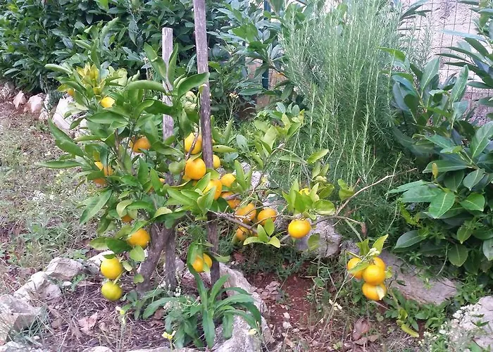 Апартаменты Sajkovic *