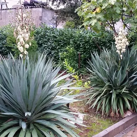 Apartamento Sajkovic