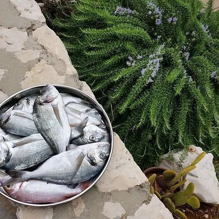 Sajkovic Apartamento *