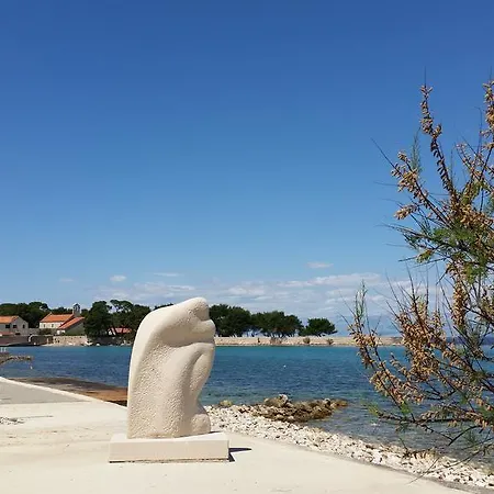 Apartamento Sajkovic *