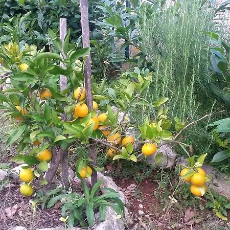 Apartamento Sajkovic *