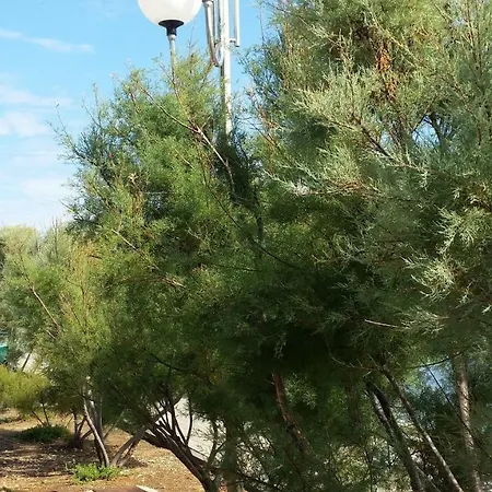 Sajkovic Apartamento Ugljan