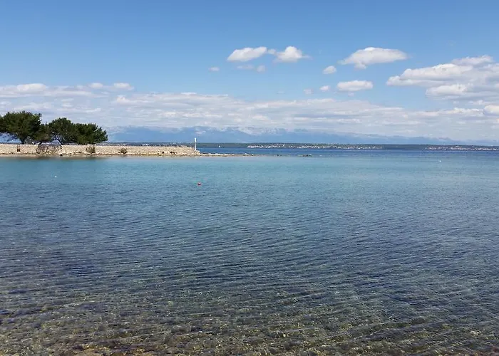 Daire Sajkovic Ugljan