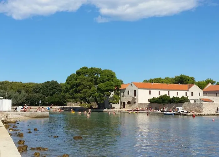 Daire Sajkovic Ugljan