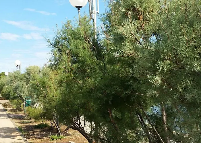 Sajkovic Daire Ugljan